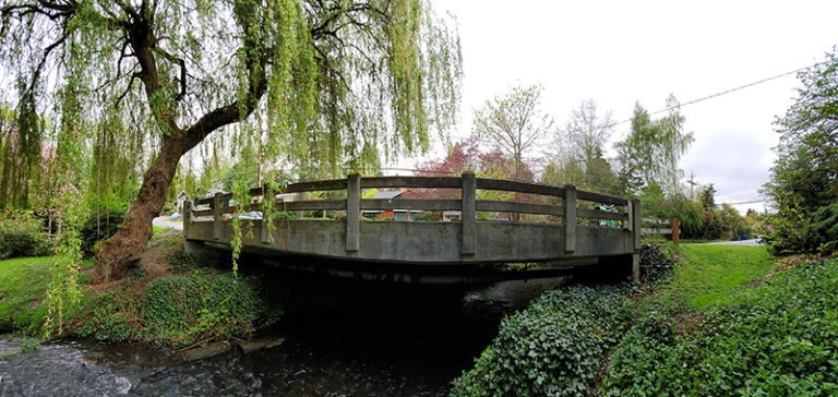 Thornton Creek Bridge Study