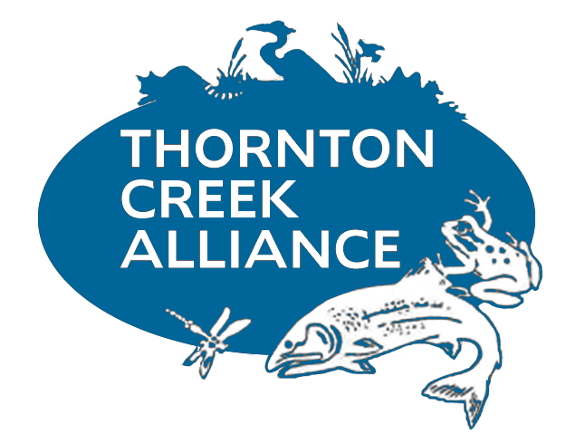 Thornton Creek Alliance Public Meeting: May 5th, 2021