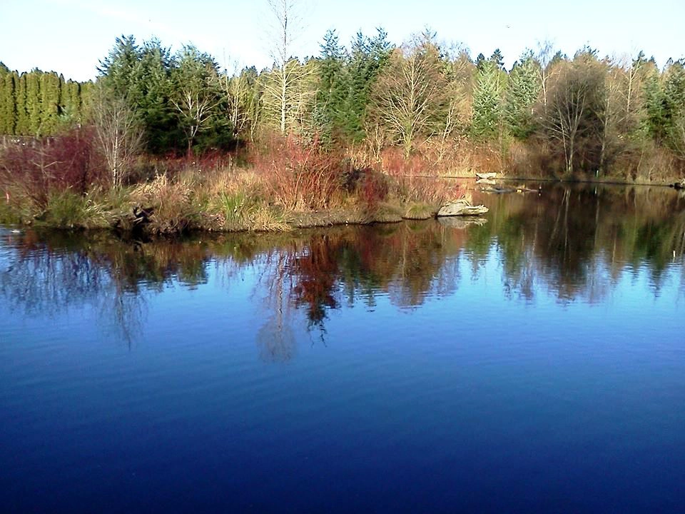 Meadowbrook Pond in autumn. Photo by Valarie Bunn