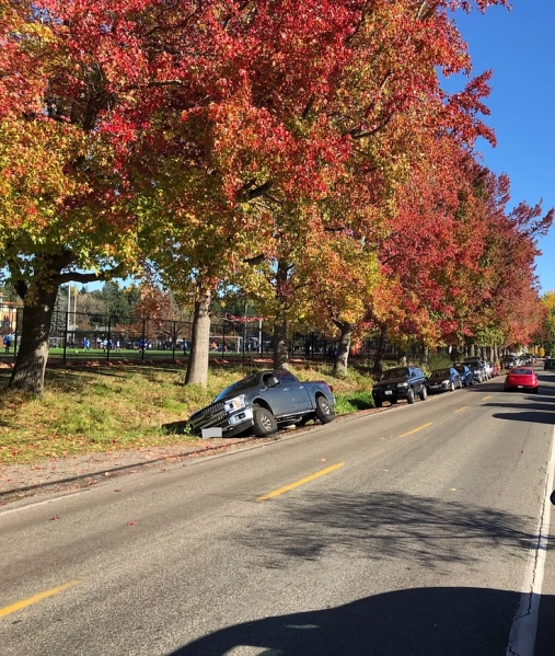 Car in the ditch along NE 110th Street nearest to the corner of 31st Ave NE. Photo courtesy of the Thornton Creek Watershed Restoration Project.